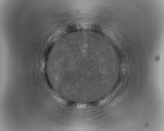 X0000094820709200711301630