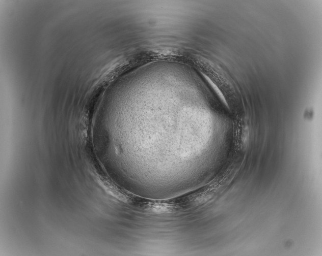 X0000094820710200711301630