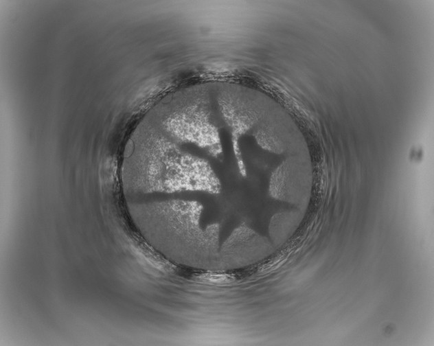 X0000094820711200711301630