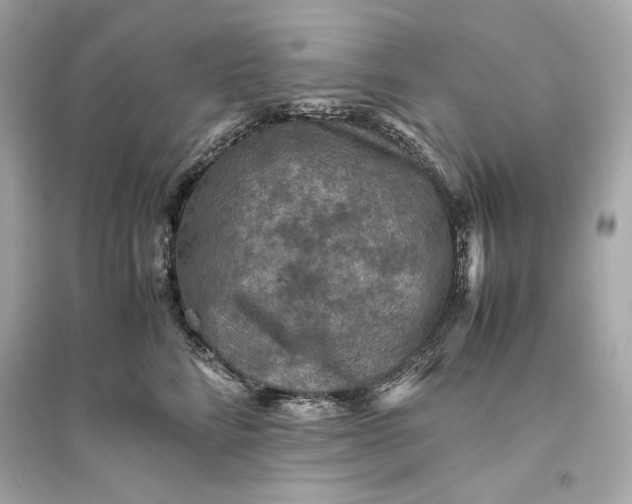 X0000094820712200711301630