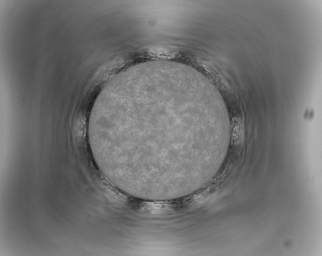 X0000094820713200711301630