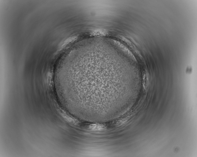 X0000094820714200711301630