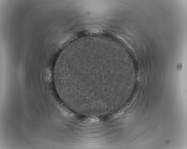 X0000094820715200711301629