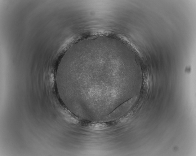 X0000094820716200711301629