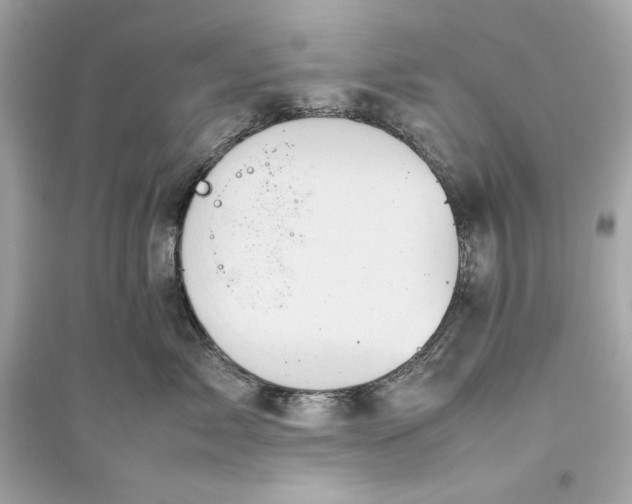 X0000094820717200711301629