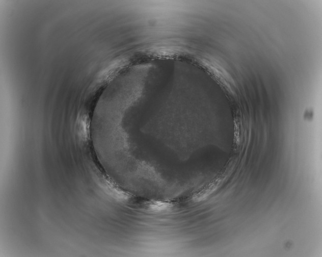 X0000094820718200711301629