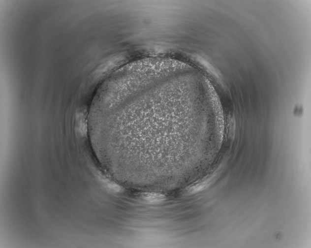 X0000094820719200711301629