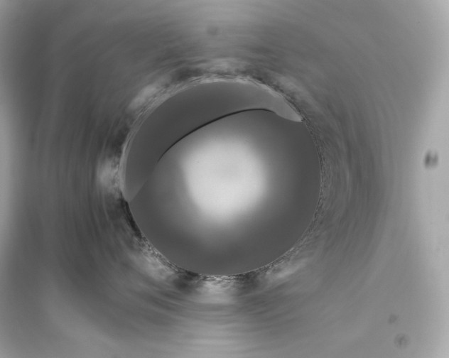 X0000094820720200711301629