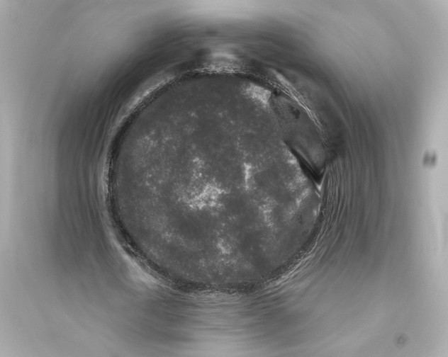 X0000094820722200711301629