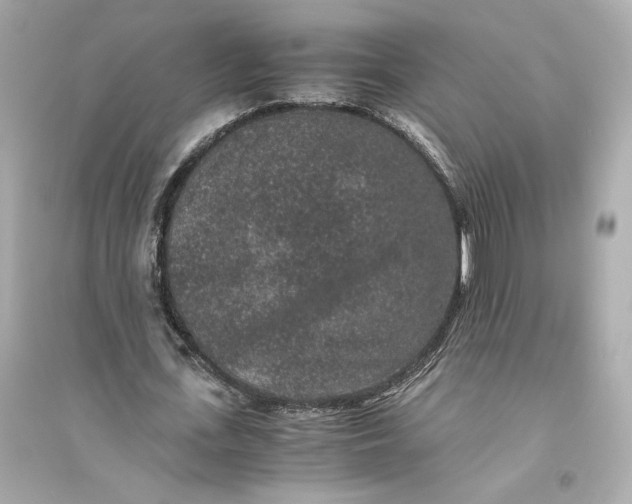 X0000094820723200711301629