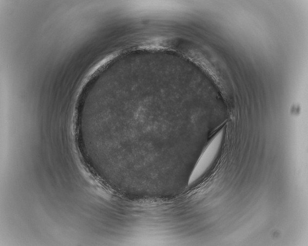 X0000094820724200711301629