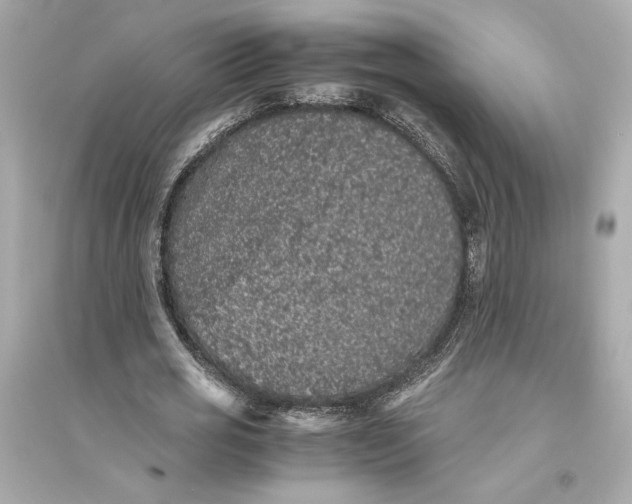 X0000094820725200711301629