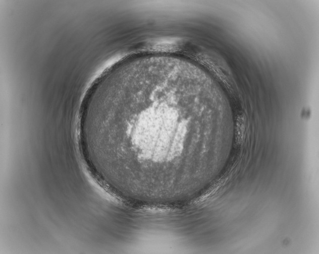 X0000094820726200711301629