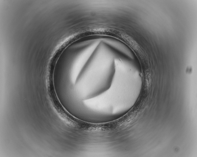 X0000094820728200711301629