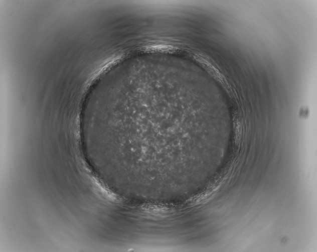 X0000094820729200711301629