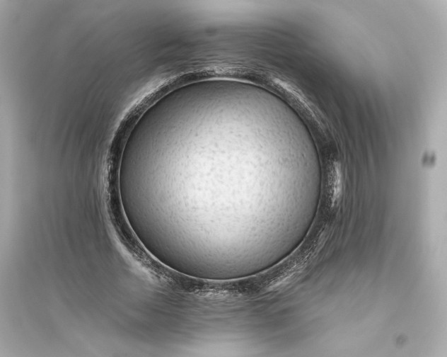 X0000094820730200711301629