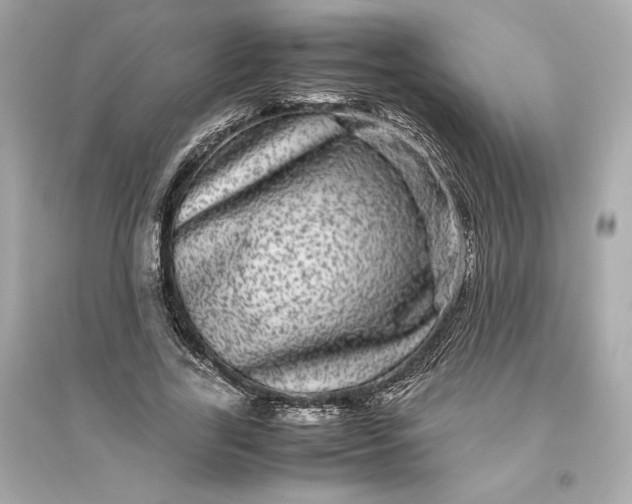 X0000094820731200711301629