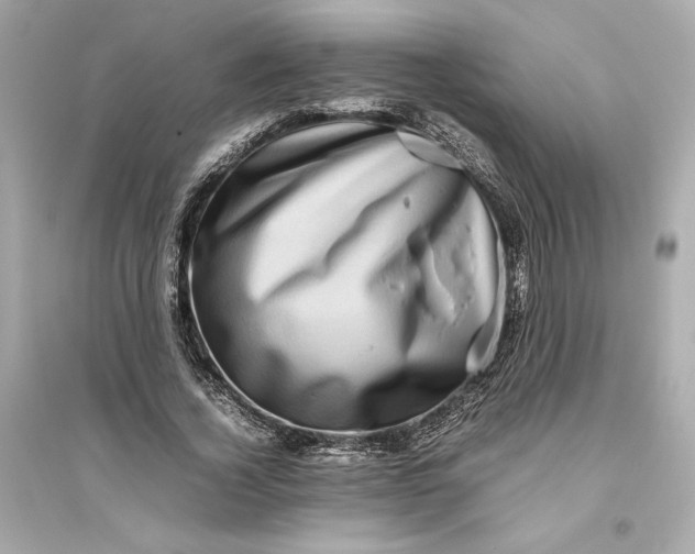 X0000094820732200711301629