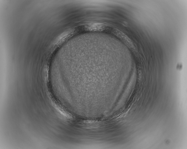 X0000094820733200711301629