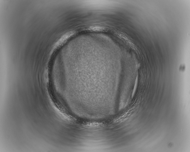 X0000094820734200711301629