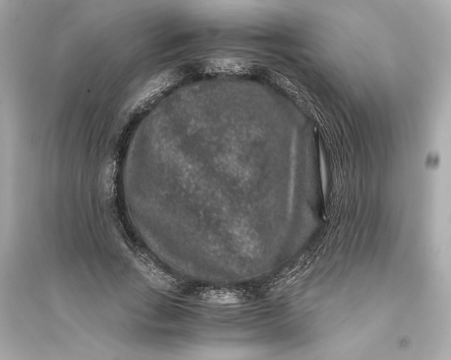 X0000094820735200711301629