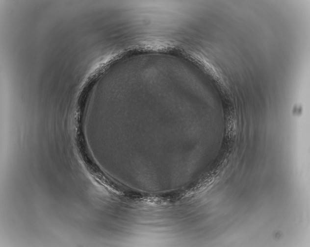 X0000094820736200711301629