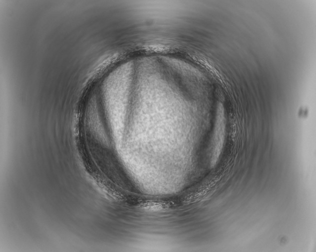 X0000094820738200711301629