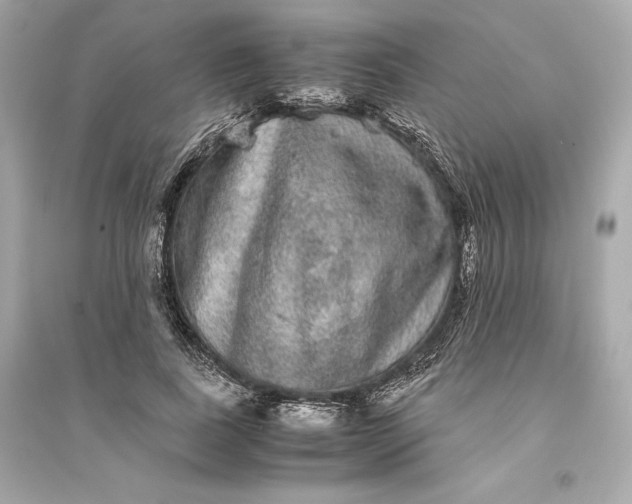 X0000094820739200711301629