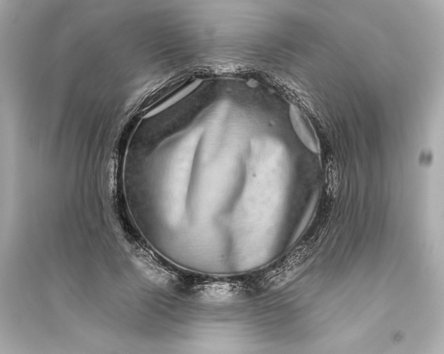 X0000094820740200711301629