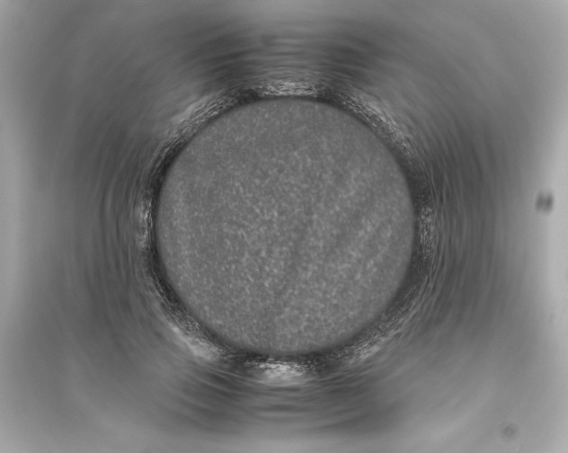 X0000094820741200711301629