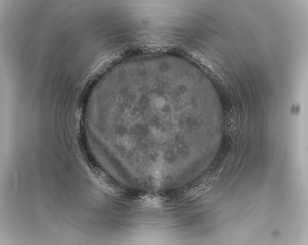 X0000094820742200711301629