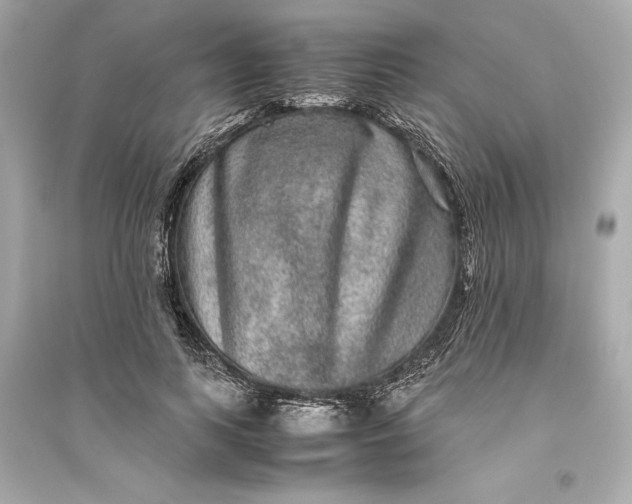 X0000094820743200711301629