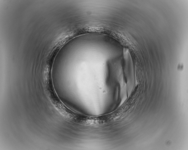 X0000094820744200711301629