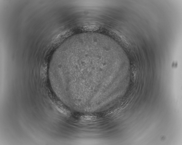 X0000094820745200711301629