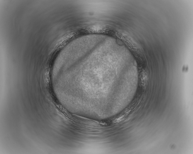 X0000094820746200711301629