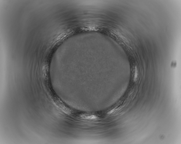 X0000094820747200711301629