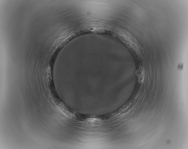 X0000094820748200711301629