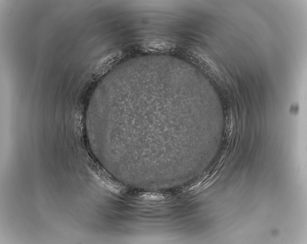 X0000094820749200711301629