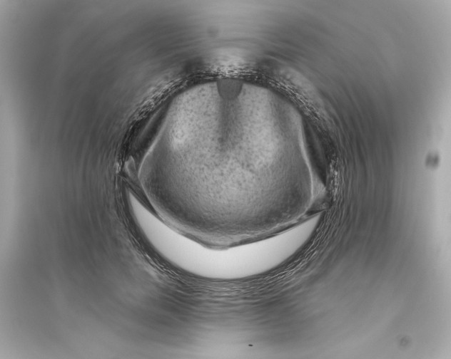 X0000094820750200711301629