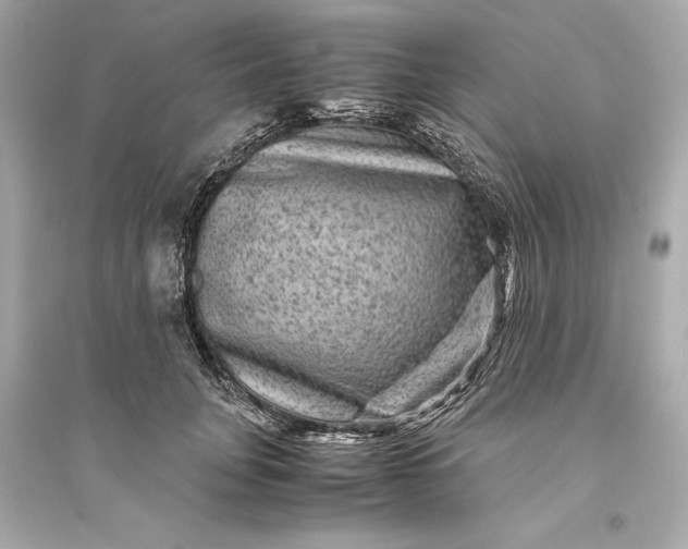 X0000094820751200711301629