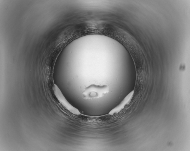 X0000094820752200711301629