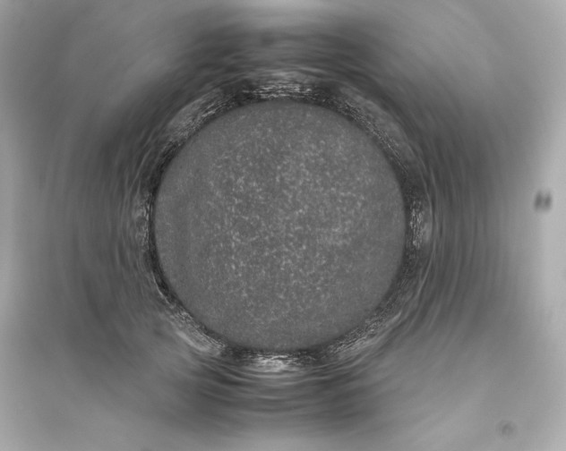 X0000094820753200711301629