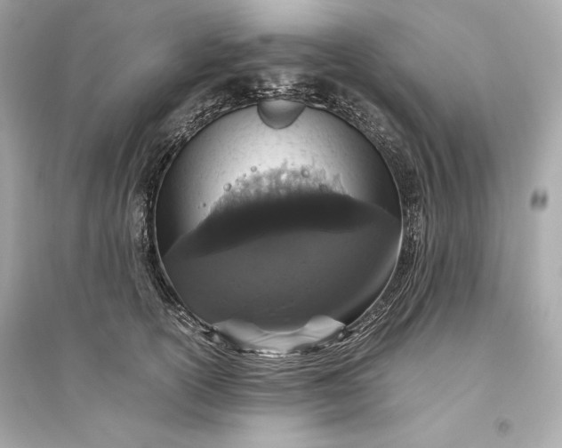 X0000094820754200711301629