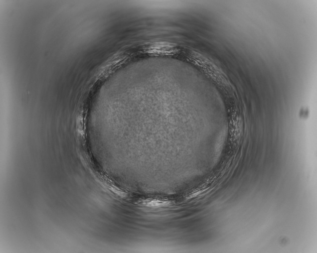 X0000094820755200711301629