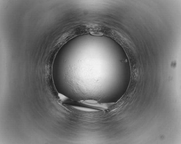 X0000094820756200711301629