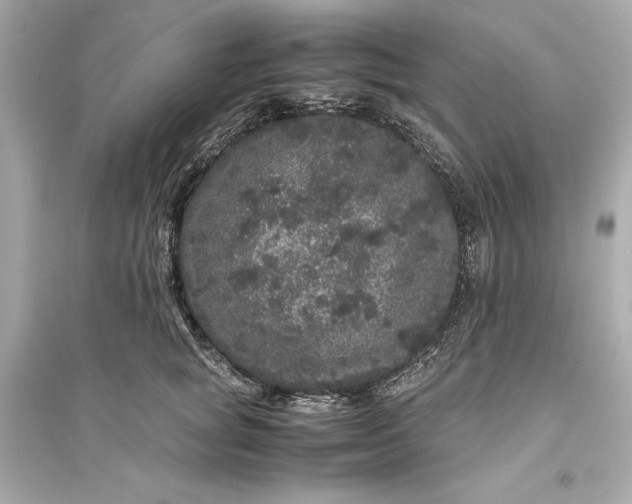 X0000094820757200711301629