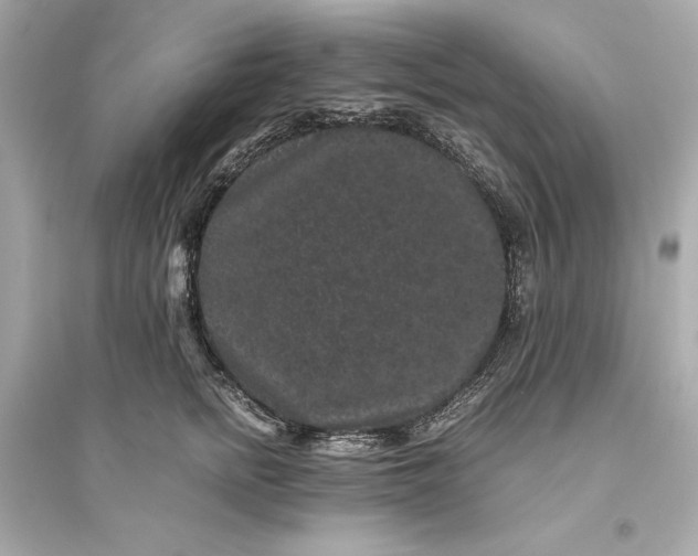 X0000094820758200711301629