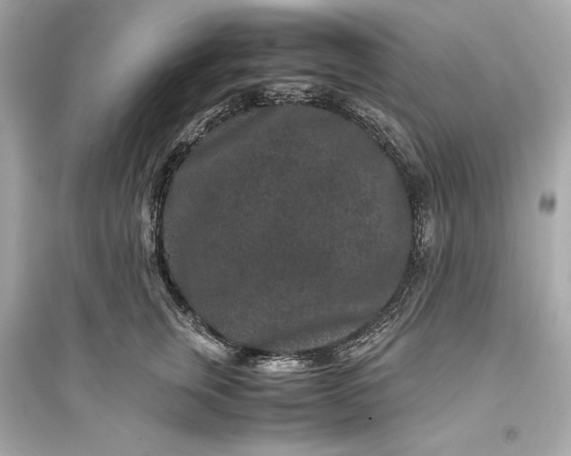 X0000094820759200711301629