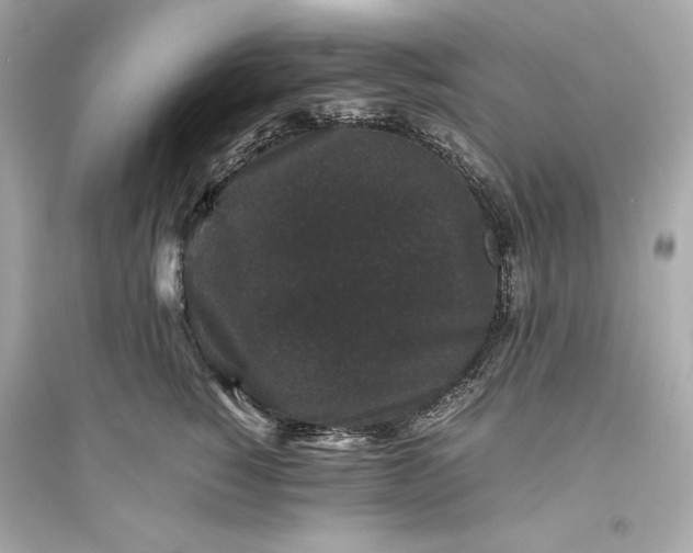 X0000094820760200711301629