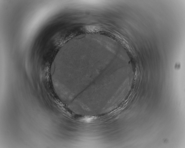 X0000094820762200711301629